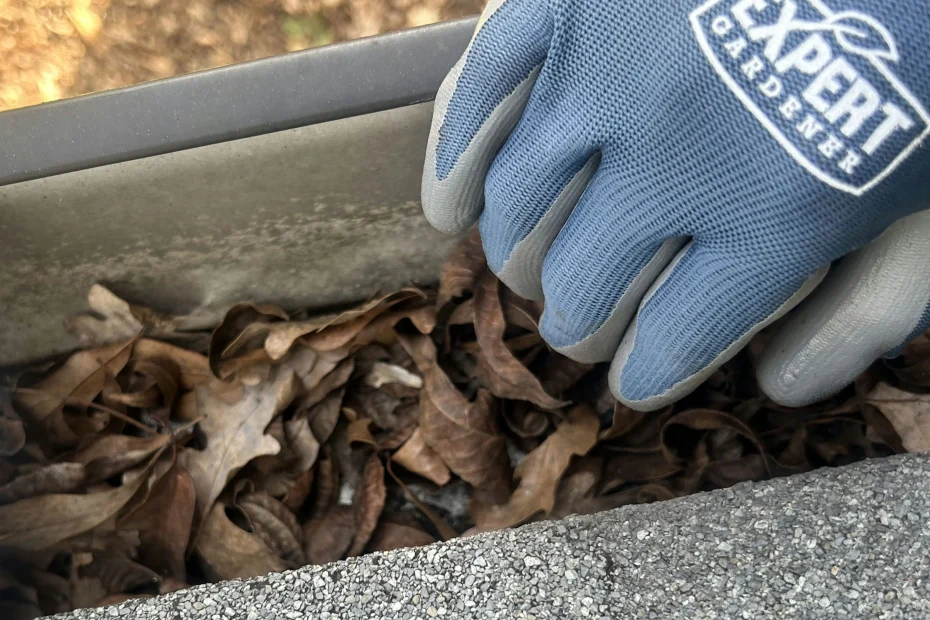 Gutter Cleaning Hutto, TX