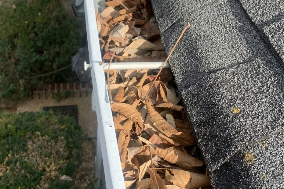 Gutter Cleaning Hutto, TX